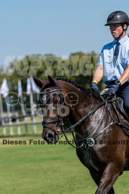 Kronenberg - De Peelbergen (August 2020)
