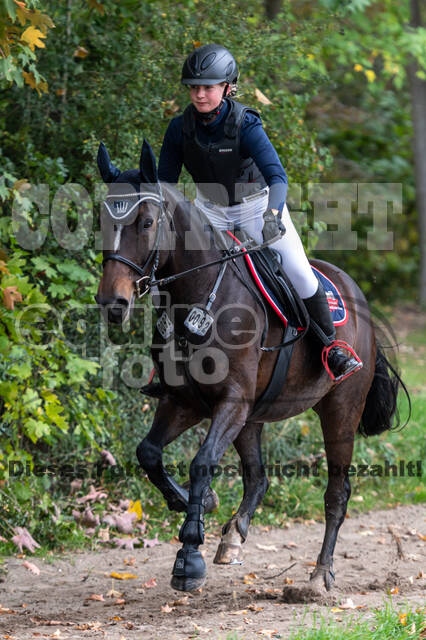 Goldene Schärpe 2020 - Pferde