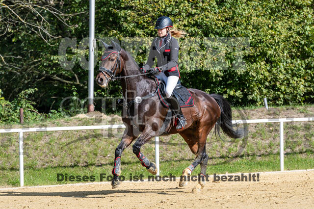 RFV Dinslaken-Hiesfeld (Herbstturnier)