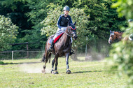 Goldene Schärpe 2021 - Ponys