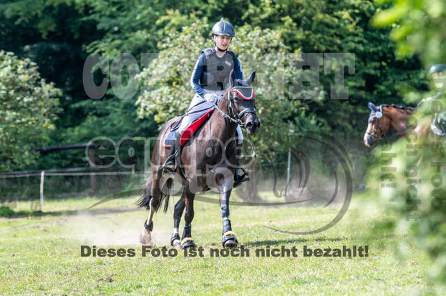 Goldene Schärpe 2021 - Ponys