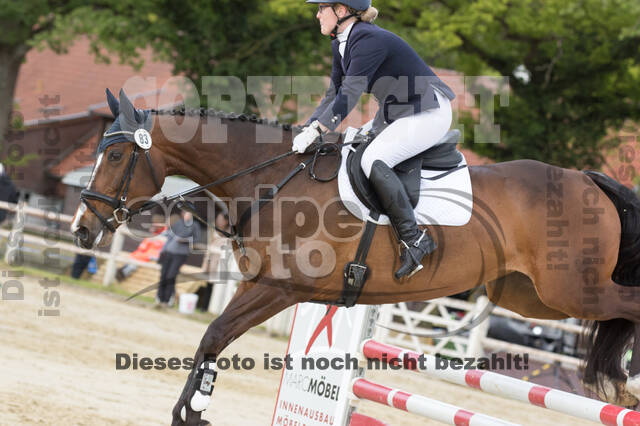 Sterne über Münster 2019 - CCI***S