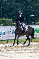 Goldene Schärpe 2021 - Ponys