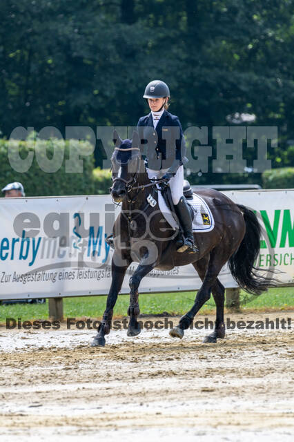 Goldene Schärpe 2021 - Ponys