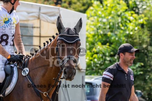 Late-Entry Vielseitigkeit Hamminkeln/Wesel (01.+02.08.2020)