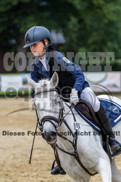 Goldene Schärpe 2021 - Ponys