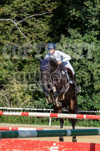RFV Dinslaken-Hiesfeld (Herbstturnier)