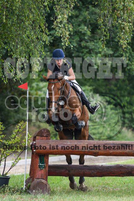 Late-Entry-Vielseitigkeit Langenfeld (11.+13./14.06.2020)