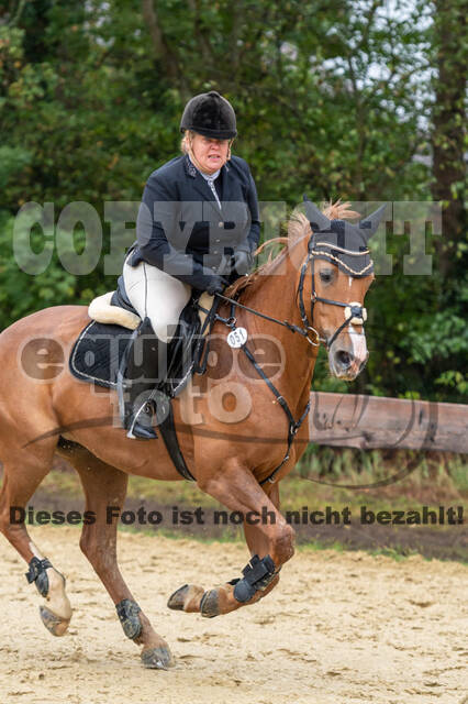 Vielseitigkeit RSV Wesel Obrighoven (26.+27.09.2020)