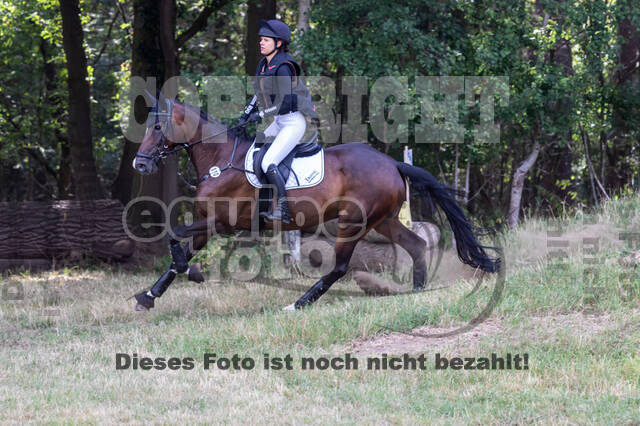 Late-Entry Vielseitigkeit Hamminkeln/Wesel (01.+02.08.2020)