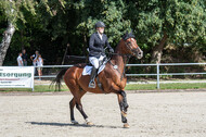 Landesturnier Rheinland, Vielseitigkeit, 22.+23.08.2020