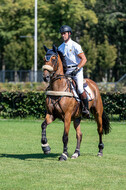Kronenberg - De Peelbergen (August 2020)