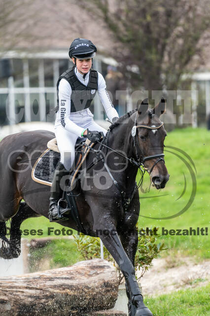 Goldene Schärpe 2020 - Pferde