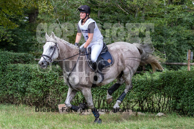 Late-Entry-Vielseitigkeit Gahlen (18.07.2020)