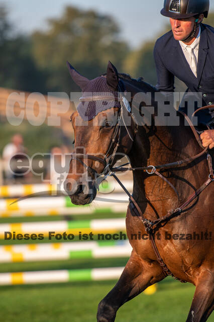 De Peelbergen (August 2020)