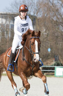 Eventing Langenfeld 2018