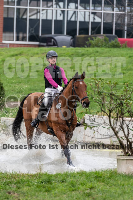 Goldene Schärpe 2020 - Pferde