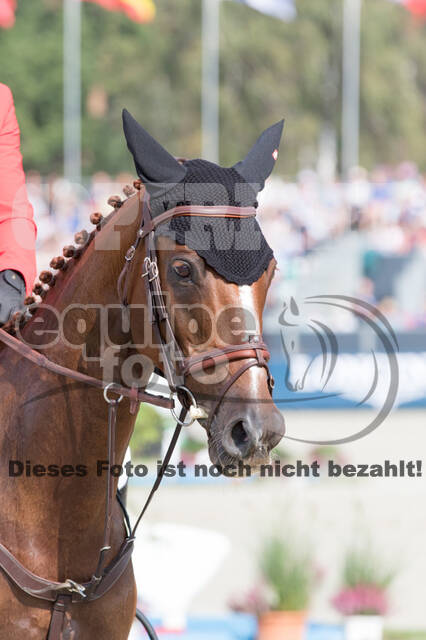 FEI European Championship Eventing 2019