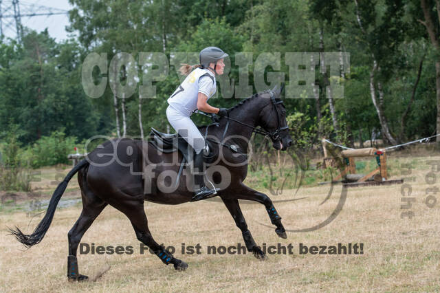 Late-Entry Vielseitigkeit Hamminkeln/Wesel (01.+02.08.2020)
