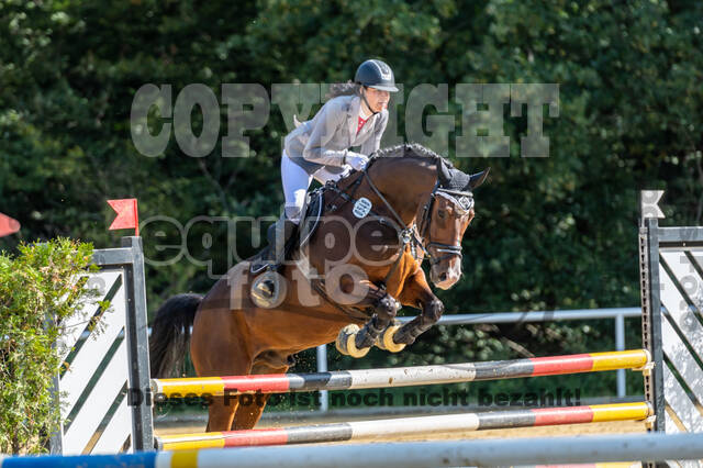 RFV Dinslaken-Hiesfeld (Herbstturnier)