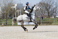 Eventing Langenfeld