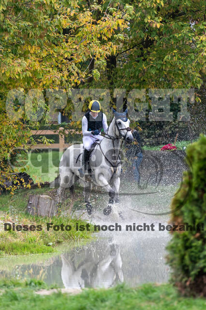 Goldene Schärpe 2020 - Pferde