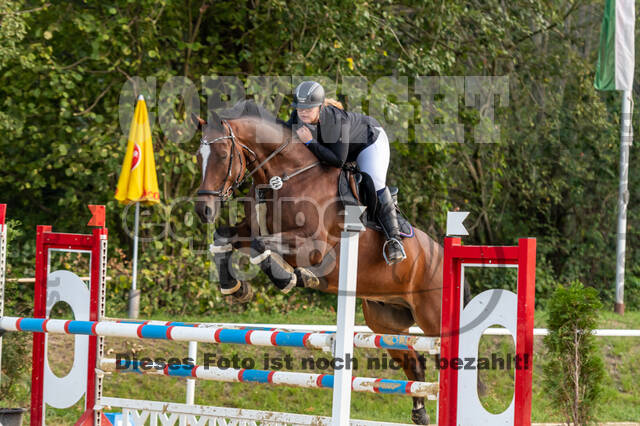 RFV Dinslaken-Hiesfeld (Herbstturnier)
