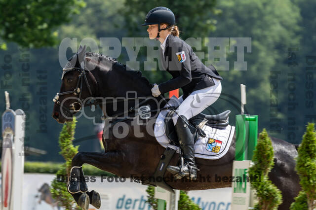 Goldene Schärpe 2021 - Ponys
