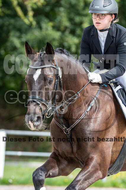 Late-Entry-Vielseitigkeit Langenfeld (06.+07.07.2020)