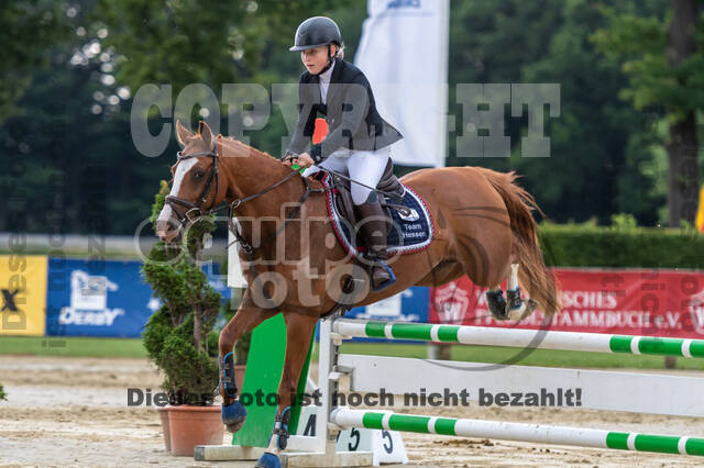Goldene Schärpe 2021 - Ponys