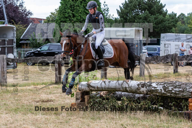 Late-Entry Vielseitigkeit Hamminkeln/Wesel (01.+02.08.2020)