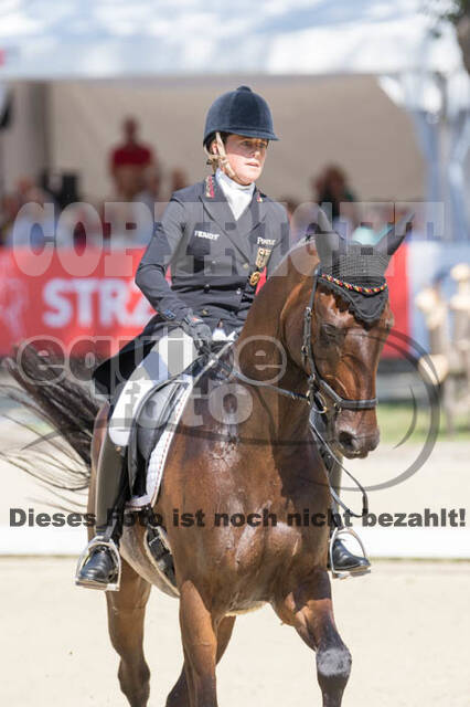 FEI European Championship Eventing 2017