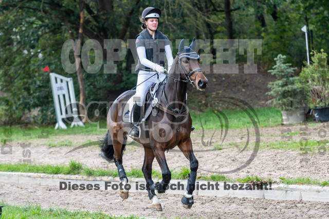 Goldene Schärpe 2020 - Pferde