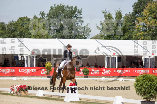 FEI European Championship Eventing 2017