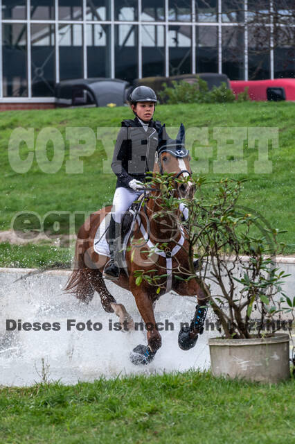 Goldene Schärpe 2020 - Pferde