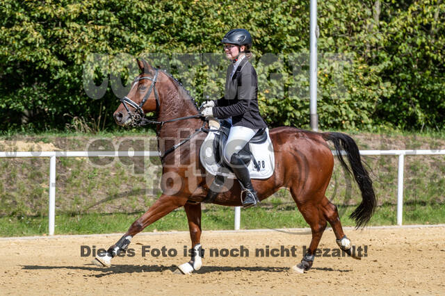 RFV Dinslaken-Hiesfeld (Herbstturnier)