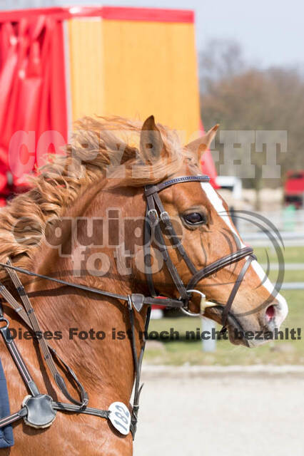 Eventing Langenfeld