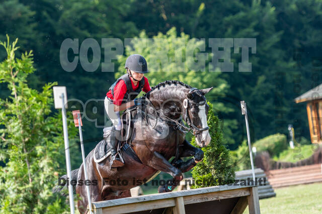 Goldene Schärpe 2021 - Ponys