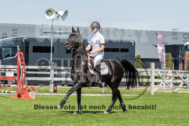 Kronenberg - De Peelbergen (August 2020)