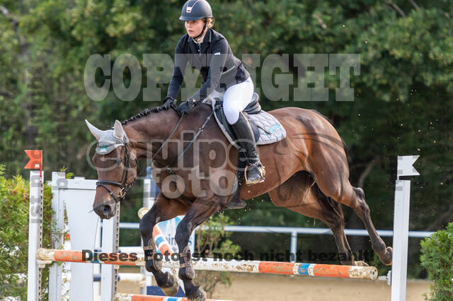 RFV Dinslaken-Hiesfeld (Herbstturnier)