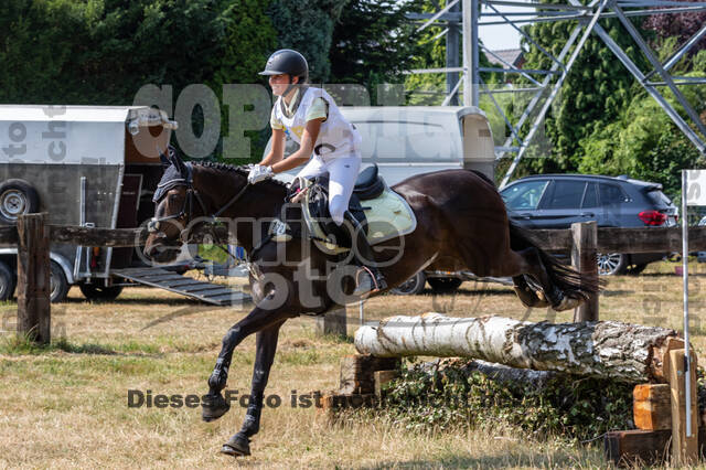 Late-Entry Vielseitigkeit Hamminkeln/Wesel (01.+02.08.2020)