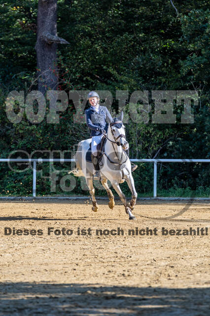 RFV Dinslaken-Hiesfeld (Herbstturnier)