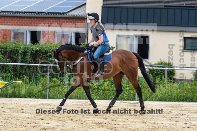 Hunter Geländetraining 10.07.2021 (Sonsbeck)