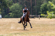 Late-Entry Vielseitigkeit Hamminkeln/Wesel (01.+02.08.2020)