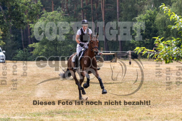 Late-Entry Vielseitigkeit Hamminkeln/Wesel (01.+02.08.2020)