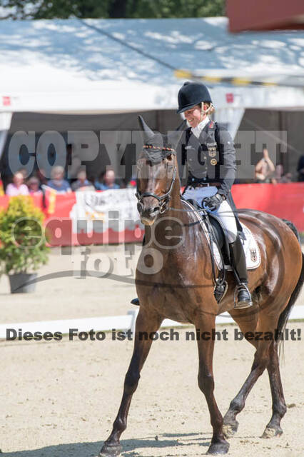 FEI European Championship Eventing 2017