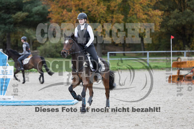 IGV Lehrgang der Sieger der Cups mit Frank Ostholt