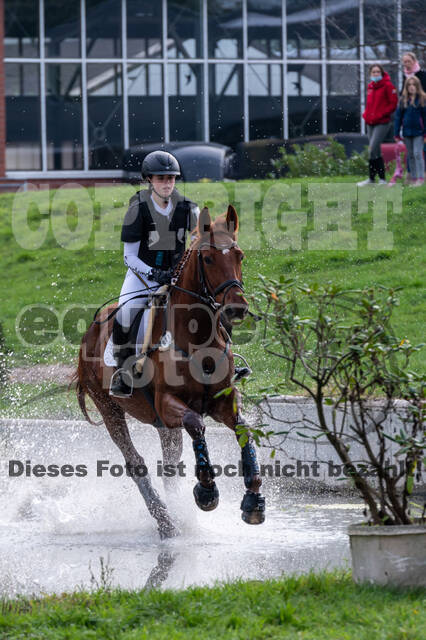 Goldene Schärpe 2020 - Pferde