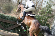 Eventing Langenfeld 2018