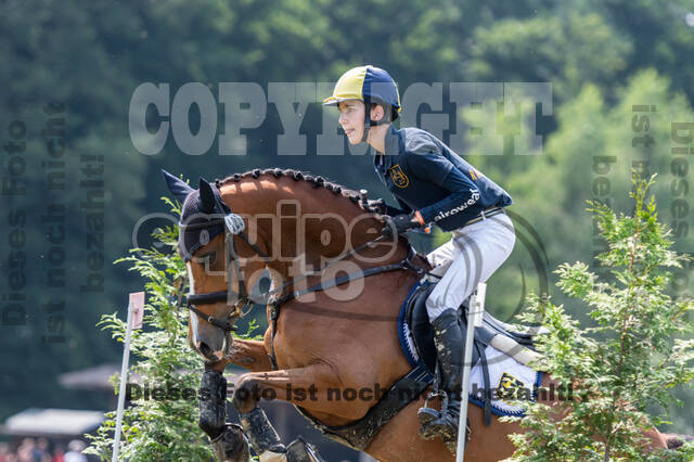 Goldene Schärpe 2021 - Ponys